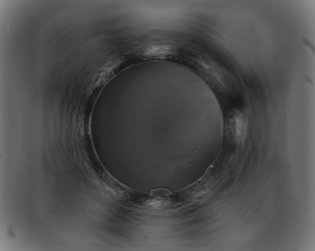 X0000093450504200710121357