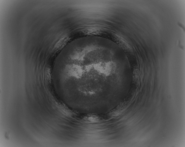 X0000093450506200710121357