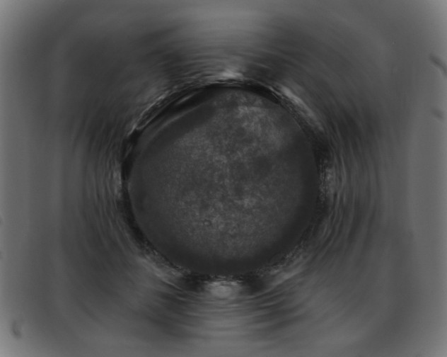 X0000093450508200710121357