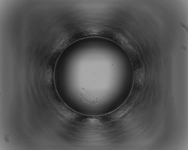 X0000093450509200710121357