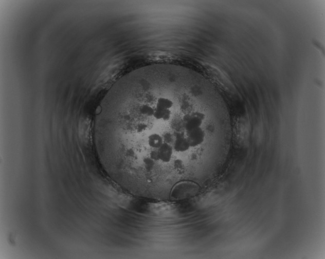 X0000093450511200710121357