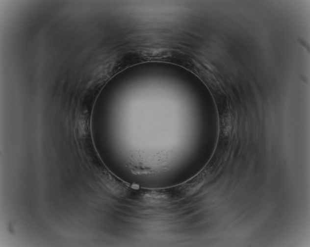 X0000093450515200710121357