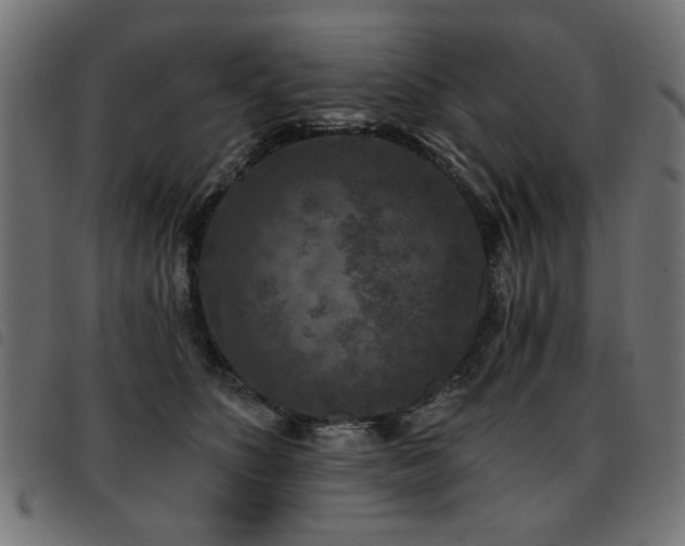 X0000093450516200710121357