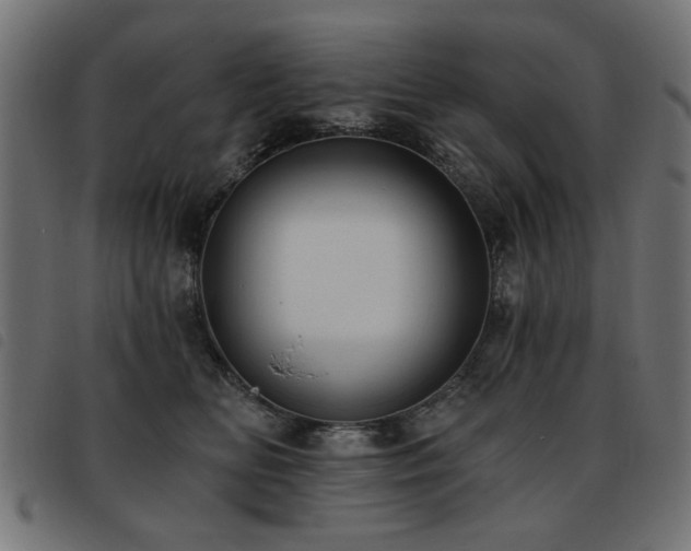X0000093450518200710121357