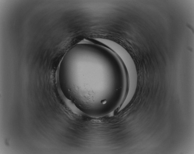 X0000093450519200710121357