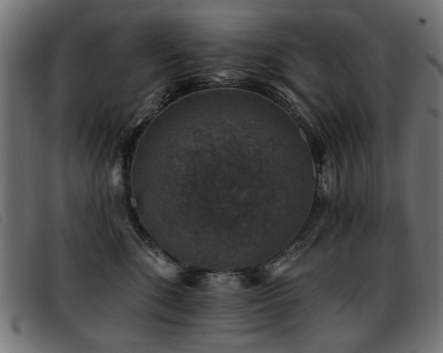 X0000093450520200710121357