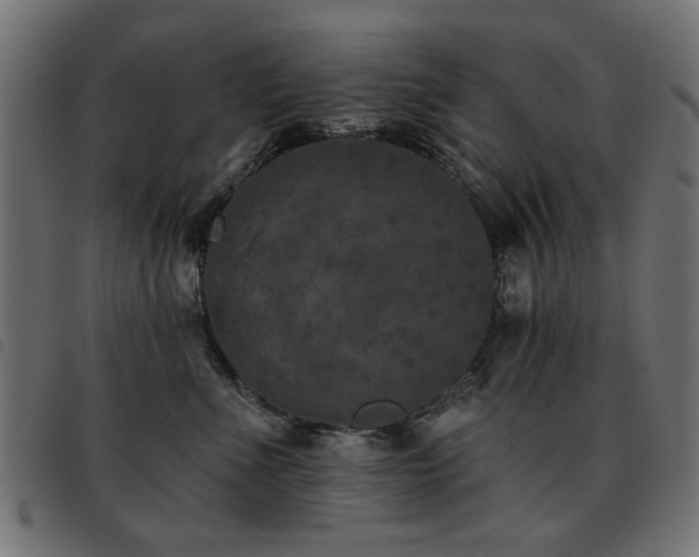 X0000093450523200710121357
