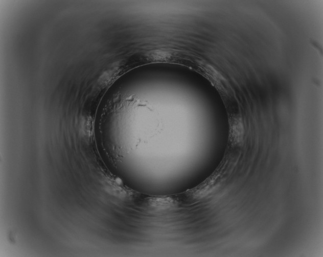 X0000093450525200710121356