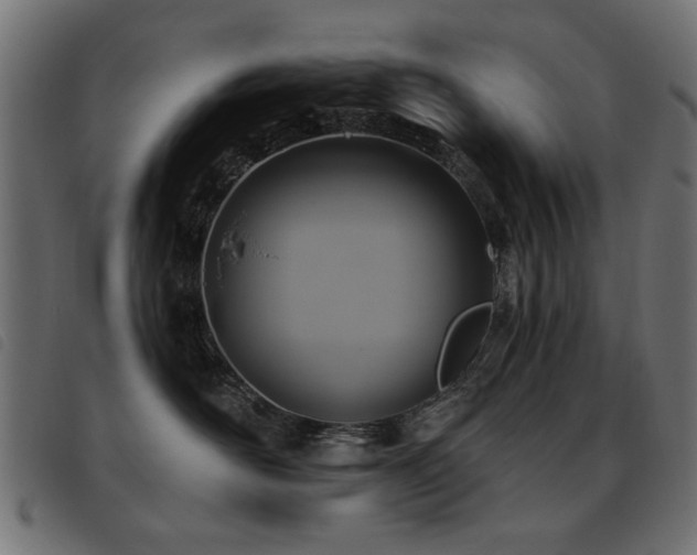X0000093450526200710121356