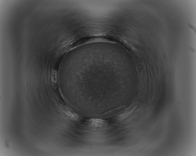 X0000093450528200710121356