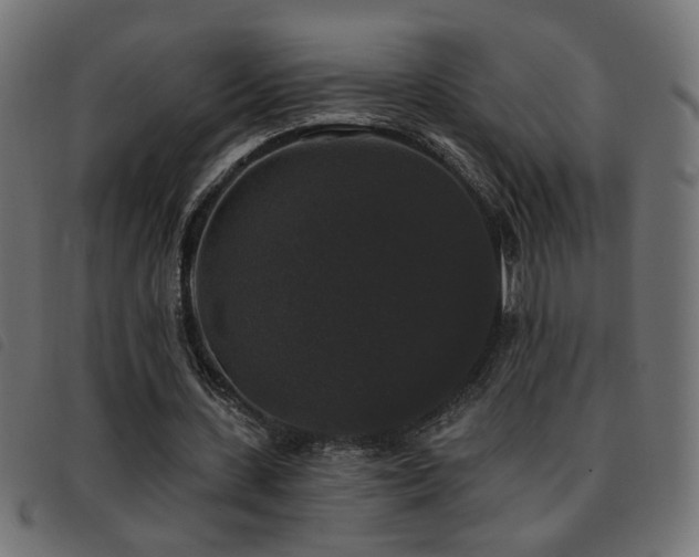 X0000093450531200710121356