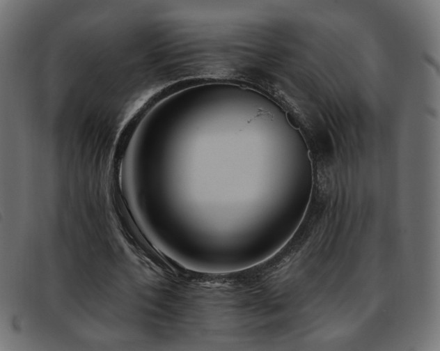 X0000093450532200710121356