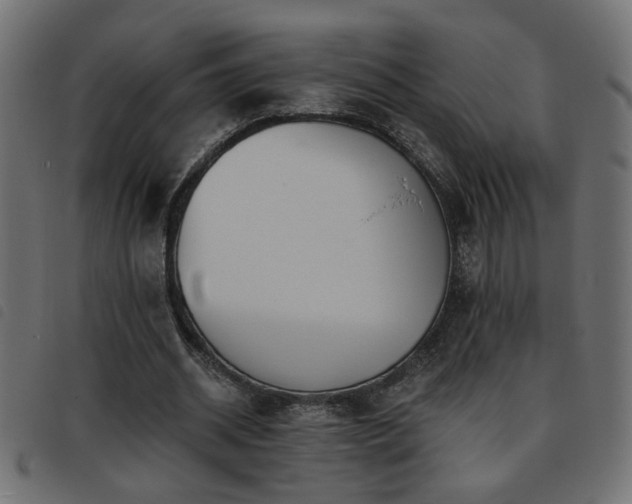 X0000093450534200710121356
