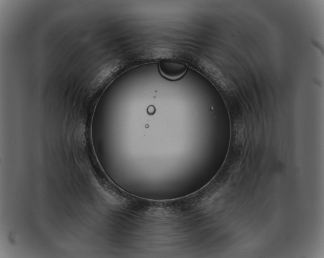X0000093450538200710121356