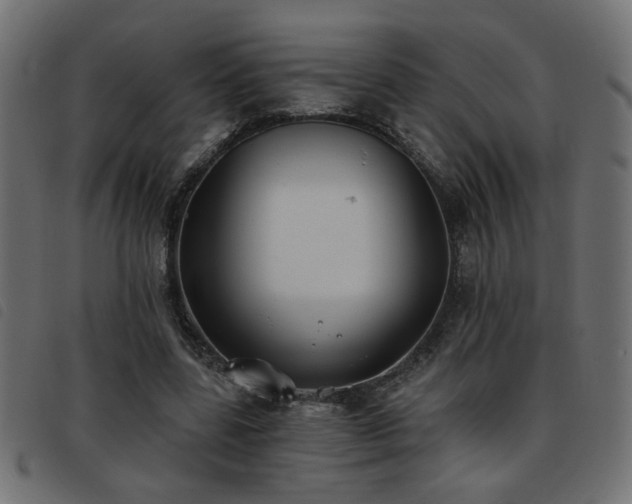 X0000093450539200710121356