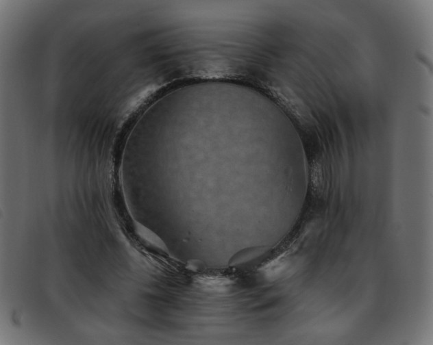 X0000093450540200710121356