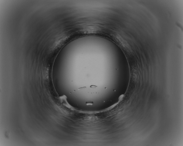 X0000093450543200710121356