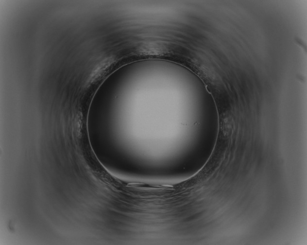 X0000093450544200710121356