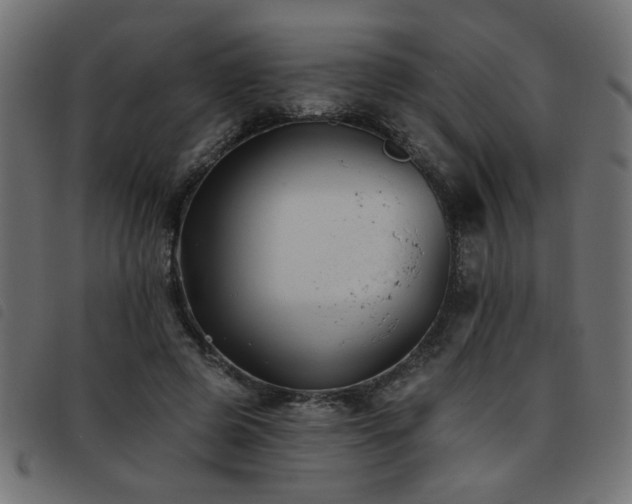 X0000093450545200710121356