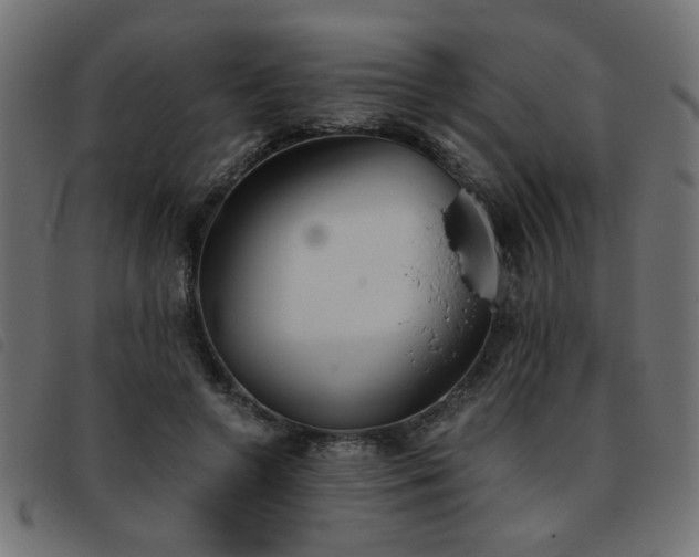 X0000093450546200710121356