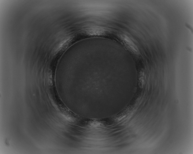 X0000093450547200710121356