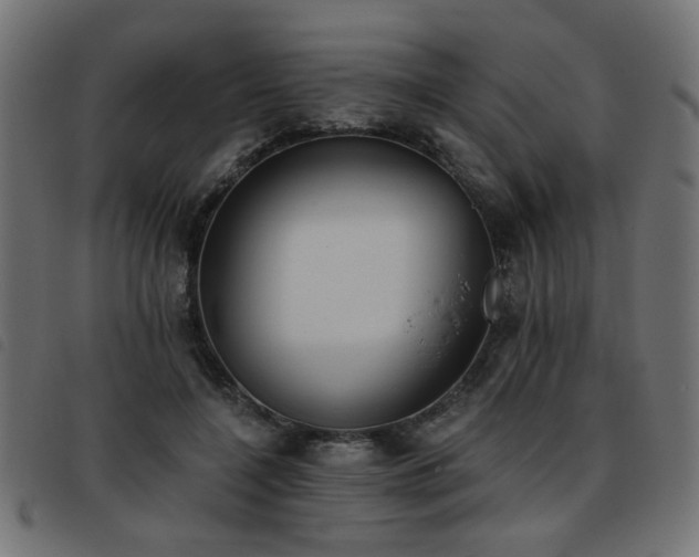 X0000093450548200710121356