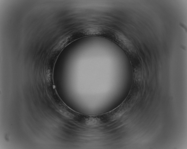 X0000093450549200710121356