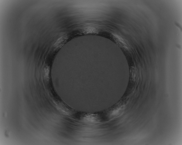 X0000093450550200710121356