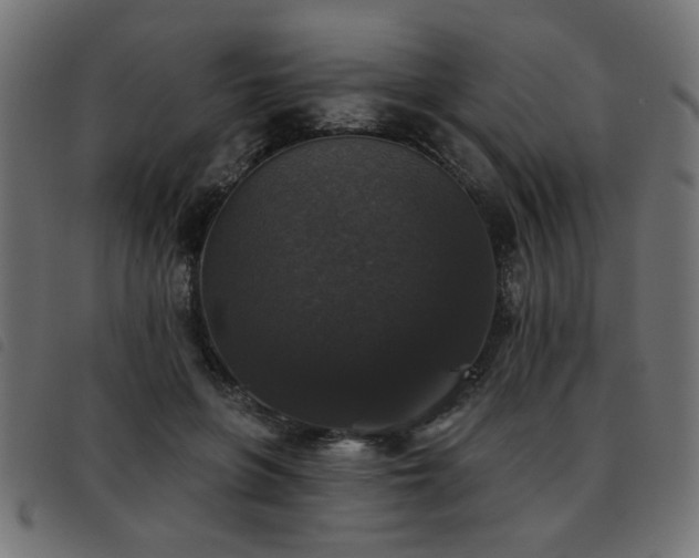 X0000093450551200710121356