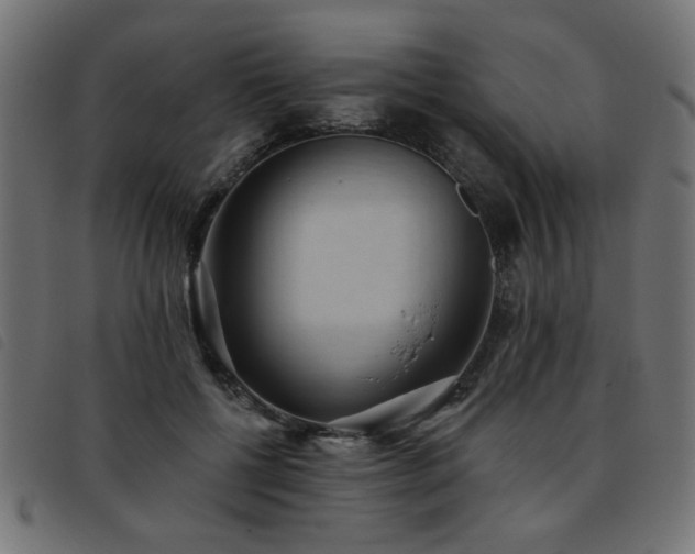 X0000093450552200710121356