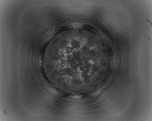 X0000093450553200710121356