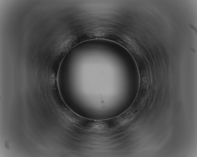 X0000093450555200710121356
