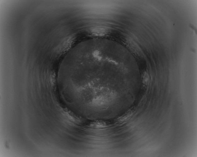 X0000093450559200710121356