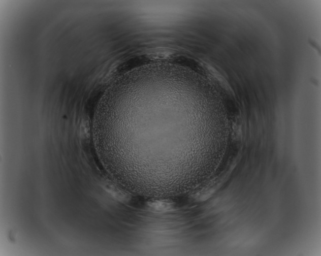 X0000093450561200710121356