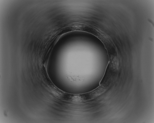 X0000093450562200710121356
