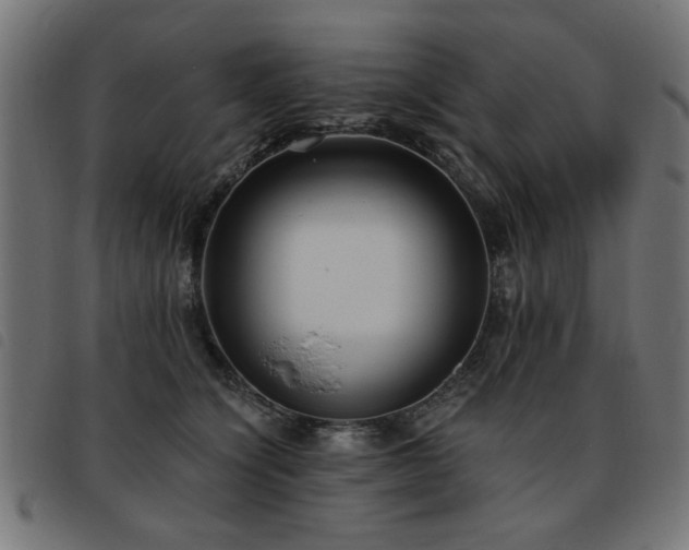 X0000093450564200710121356