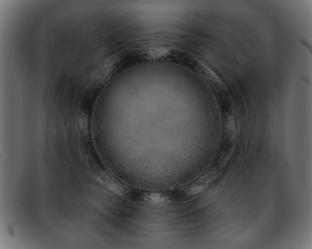 X0000093450565200710121356