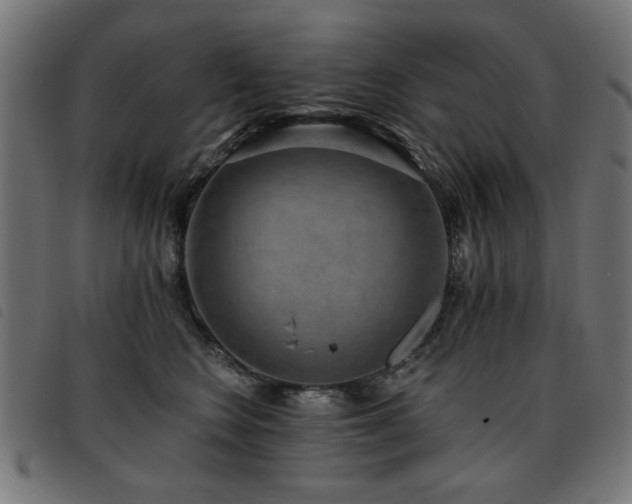 X0000093450566200710121356