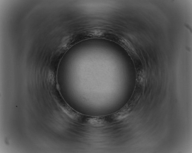 X0000093450568200710121356