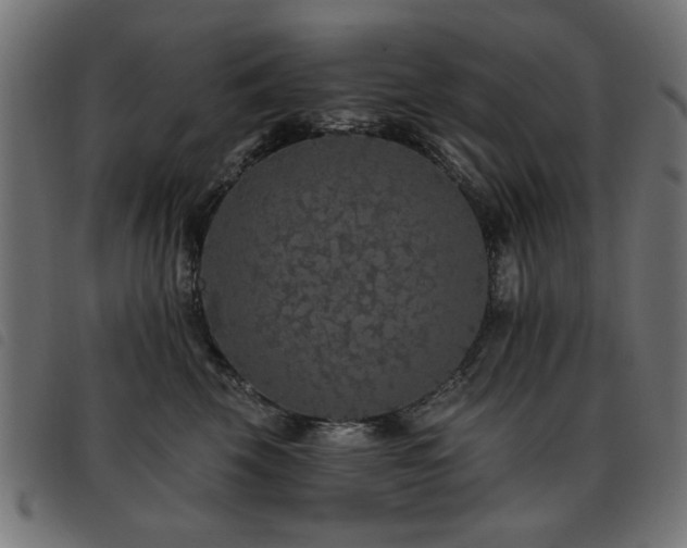 X0000093450569200710121356