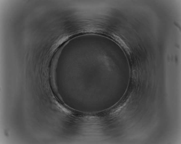 X0000093450577200710121356