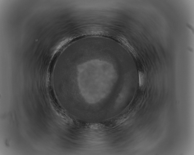 X0000093450579200710121356