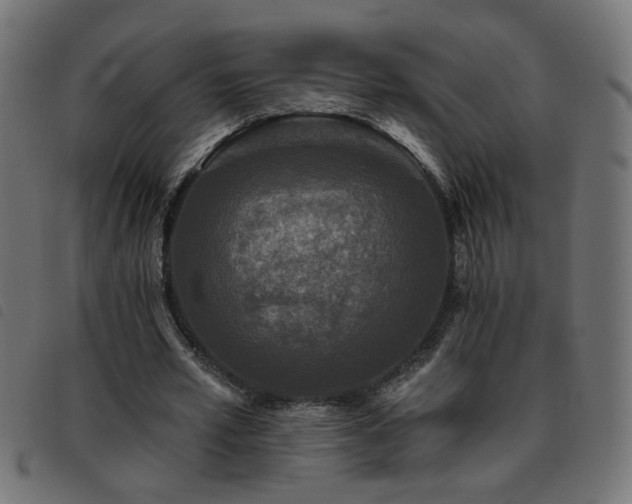 X0000093450581200710121356