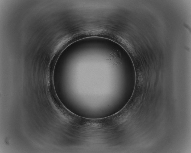 X0000093450582200710121356