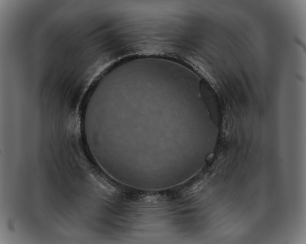 X0000093450584200710121356