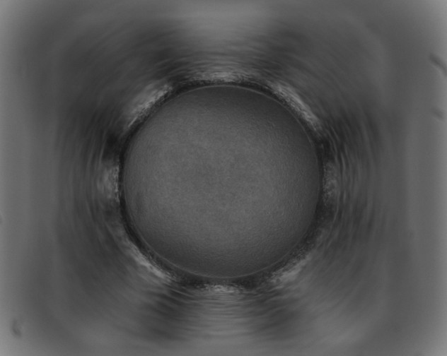 X0000093450585200710121356