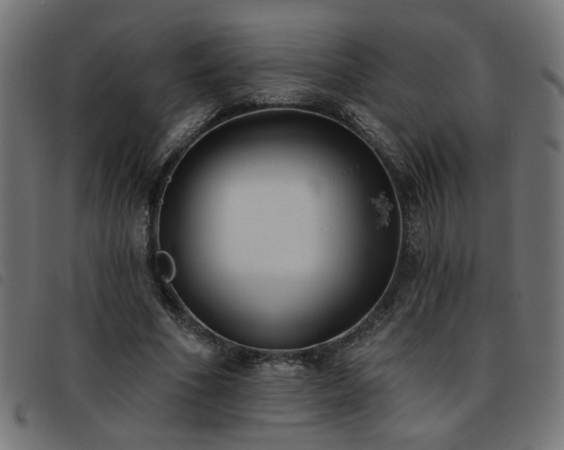 X0000093450586200710121356