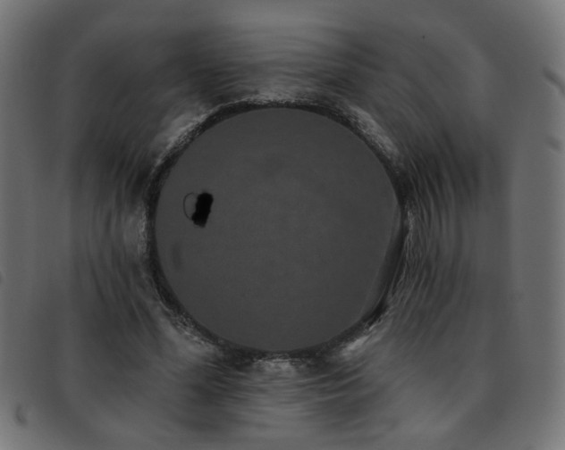 X0000093450588200710121356