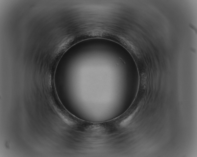 X0000093450589200710121356