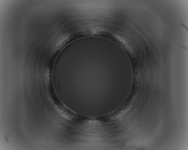 X0000093450590200710121356